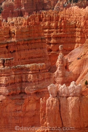 America;American-Southwest;badland;badlands;Bryce-Amphitheater;Bryce-Amphitheatre;Bryce-Canyon;Bryce-Canyon-N.P.;Bryce-Canyon-National-Park;Bryce-Canyon-NP;clay;column;columns;earth-pyramid;earth-pyramids;eroded;erosion;fairy-chimney;fairy-chimneys;formation;formations;geological;geology;hiker;hikers;hiking-path;hiking-paths;hiking-track;hiking-tracks;hiking-trail;hiking-trails;hoodoo;hoodoos;layer;layers;national-park;national-parks;natural-geological-formation;natural-geological-formations;natural-tower;natural-towers;Navajo-Loop;Navajo-Loop-path;Navajo-Loop-track;Navajo-Loop-trail;Navajo-Loop-walk;Navajo-path;Navajo-track;Navajo-trail;Navajo-walk;North-America;path;paths;pathway;pathways;Paunsaugunt-Plateau;people;person;pillar;pillars;pinnacle;pinnacles;rock;rock-chimney;rock-chimneys;rock-column;rock-columns;rock-formation;rock-formations;rock-pillar;rock-pillars;rock-pinnacle;rock-pinnacles;rock-spire;rock-spires;rock-tower;rock-towers;rocks;route;routes;Sandstone;South-west-United-States;South-west-US;South-west-USA;South-western-United-States;South-western-US;South-western-USA;Southwest-United-States;Southwest-US;Southwest-USA;Southwestern-United-States;Southwestern-US;Southwestern-USA;States;stone;tent-rock;tent-rocks;the-Southwest;tourism;tourist;tourists;track;tracks;trail;trails;tramping-track;tramping-tracks;tramping-trail;tramping-trails;U.S.A;United-States;United-States-of-America;unusual-natural-feature;unusual-natural-features;unusual-natural-formation;unusual-natural-formations;USA;UT;Utah;walker;walkers;walking-path;walking-paths;walking-track;walking-tracks;walking-trail;walking-trails;walkway;walkways;weathered;weathering;wilderness;wilderness-area;wilderness-areas