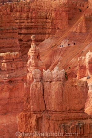 America;American-Southwest;badland;badlands;Bryce-Amphitheater;Bryce-Amphitheatre;Bryce-Canyon;Bryce-Canyon-N.P.;Bryce-Canyon-National-Park;Bryce-Canyon-NP;clay;column;columns;earth-pyramid;earth-pyramids;eroded;erosion;fairy-chimney;fairy-chimneys;formation;formations;geological;geology;hiker;hikers;hiking-path;hiking-paths;hiking-track;hiking-tracks;hiking-trail;hiking-trails;hoodoo;hoodoos;layer;layers;national-park;national-parks;natural-geological-formation;natural-geological-formations;natural-tower;natural-towers;Navajo-Loop;Navajo-Loop-path;Navajo-Loop-track;Navajo-Loop-trail;Navajo-Loop-walk;Navajo-path;Navajo-track;Navajo-trail;Navajo-walk;North-America;path;paths;pathway;pathways;Paunsaugunt-Plateau;people;person;pillar;pillars;pinnacle;pinnacles;rock;rock-chimney;rock-chimneys;rock-column;rock-columns;rock-formation;rock-formations;rock-pillar;rock-pillars;rock-pinnacle;rock-pinnacles;rock-spire;rock-spires;rock-tower;rock-towers;rocks;route;routes;Sandstone;South-west-United-States;South-west-US;South-west-USA;South-western-United-States;South-western-US;South-western-USA;Southwest-United-States;Southwest-US;Southwest-USA;Southwestern-United-States;Southwestern-US;Southwestern-USA;States;stone;tent-rock;tent-rocks;the-Southwest;tourism;tourist;tourists;track;tracks;trail;trails;tramping-track;tramping-tracks;tramping-trail;tramping-trails;U.S.A;United-States;United-States-of-America;unusual-natural-feature;unusual-natural-features;unusual-natural-formation;unusual-natural-formations;USA;UT;Utah;walker;walkers;walking-path;walking-paths;walking-track;walking-tracks;walking-trail;walking-trails;walkway;walkways;weathered;weathering;wilderness;wilderness-area;wilderness-areas