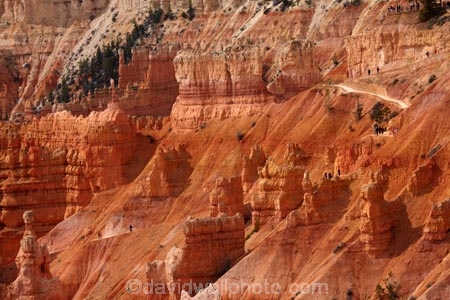America;American-Southwest;badland;badlands;Bryce-Amphitheater;Bryce-Amphitheatre;Bryce-Canyon;Bryce-Canyon-N.P.;Bryce-Canyon-National-Park;Bryce-Canyon-NP;clay;column;columns;earth-pyramid;earth-pyramids;eroded;erosion;fairy-chimney;fairy-chimneys;formation;formations;geological;geology;hiker;hikers;hiking-path;hiking-paths;hiking-track;hiking-tracks;hiking-trail;hiking-trails;hoodoo;hoodoos;layer;layers;national-park;national-parks;natural-geological-formation;natural-geological-formations;natural-tower;natural-towers;Navajo-Loop;Navajo-Loop-path;Navajo-Loop-track;Navajo-Loop-trail;Navajo-Loop-walk;Navajo-path;Navajo-track;Navajo-trail;Navajo-walk;North-America;path;paths;pathway;pathways;Paunsaugunt-Plateau;people;person;pillar;pillars;pinnacle;pinnacles;rock;rock-chimney;rock-chimneys;rock-column;rock-columns;rock-formation;rock-formations;rock-pillar;rock-pillars;rock-pinnacle;rock-pinnacles;rock-spire;rock-spires;rock-tower;rock-towers;rocks;route;routes;Sandstone;South-west-United-States;South-west-US;South-west-USA;South-western-United-States;South-western-US;South-western-USA;Southwest-United-States;Southwest-US;Southwest-USA;Southwestern-United-States;Southwestern-US;Southwestern-USA;States;stone;Sunset-Point;tent-rock;tent-rocks;the-Southwest;tourism;tourist;tourists;track;tracks;trail;trails;tramping-track;tramping-tracks;tramping-trail;tramping-trails;U.S.A;United-States;United-States-of-America;unusual-natural-feature;unusual-natural-features;unusual-natural-formation;unusual-natural-formations;USA;UT;Utah;walker;walkers;walking-path;walking-paths;walking-track;walking-tracks;walking-trail;walking-trails;walkway;walkways;weathered;weathering;wilderness;wilderness-area;wilderness-areas