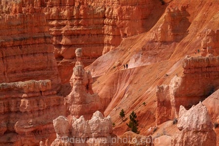 America;American-Southwest;badland;badlands;Bryce-Amphitheater;Bryce-Amphitheatre;Bryce-Canyon;Bryce-Canyon-N.P.;Bryce-Canyon-National-Park;Bryce-Canyon-NP;clay;column;columns;earth-pyramid;earth-pyramids;eroded;erosion;fairy-chimney;fairy-chimneys;formation;formations;geological;geology;hiker;hikers;hiking-path;hiking-paths;hiking-track;hiking-tracks;hiking-trail;hiking-trails;hoodoo;hoodoos;layer;layers;national-park;national-parks;natural-geological-formation;natural-geological-formations;natural-tower;natural-towers;Navajo-Loop;Navajo-Loop-path;Navajo-Loop-track;Navajo-Loop-trail;Navajo-Loop-walk;Navajo-path;Navajo-track;Navajo-trail;Navajo-walk;North-America;path;paths;pathway;pathways;Paunsaugunt-Plateau;people;person;pillar;pillars;pinnacle;pinnacles;rock;rock-chimney;rock-chimneys;rock-column;rock-columns;rock-formation;rock-formations;rock-pillar;rock-pillars;rock-pinnacle;rock-pinnacles;rock-spire;rock-spires;rock-tower;rock-towers;rocks;route;routes;Sandstone;South-west-United-States;South-west-US;South-west-USA;South-western-United-States;South-western-US;South-western-USA;Southwest-United-States;Southwest-US;Southwest-USA;Southwestern-United-States;Southwestern-US;Southwestern-USA;States;stone;tent-rock;tent-rocks;the-Southwest;tourism;tourist;tourists;track;tracks;trail;trails;tramping-track;tramping-tracks;tramping-trail;tramping-trails;U.S.A;United-States;United-States-of-America;unusual-natural-feature;unusual-natural-features;unusual-natural-formation;unusual-natural-formations;USA;UT;Utah;walker;walkers;walking-path;walking-paths;walking-track;walking-tracks;walking-trail;walking-trails;walkway;walkways;weathered;weathering;wilderness;wilderness-area;wilderness-areas