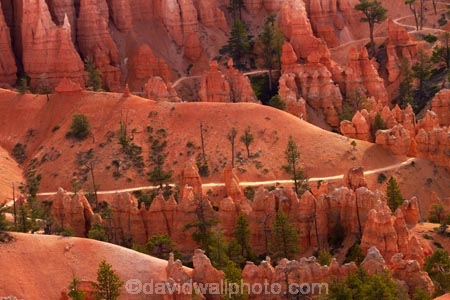 America;American-Southwest;badland;badlands;Bryce-Amphitheater;Bryce-Amphitheatre;Bryce-Canyon;Bryce-Canyon-N.P.;Bryce-Canyon-National-Park;Bryce-Canyon-NP;clay;column;columns;earth-pyramid;earth-pyramids;eroded;erosion;fairy-chimney;fairy-chimneys;formation;formations;geological;geology;hiking-path;hiking-paths;hiking-track;hiking-tracks;hiking-trail;hiking-trails;hoodoo;hoodoos;layer;layers;lookout;lookouts;national-park;national-parks;natural-geological-formation;natural-geological-formations;natural-tower;natural-towers;North-America;overlook;path;paths;pathway;pathways;Paunsaugunt-Plateau;pillar;pillars;pinnacle;pinnacles;Queens-Garden-Path;Queens-Garden-Trackl;Queens-Garden-Trail;Queens-Garden-walk;Queens-Garden-Path;Queens-Garden-Track;Queens-Garden-Trail;Queens-Garden-walk;rock;rock-chimney;rock-chimneys;rock-column;rock-columns;rock-formation;rock-formations;rock-pillar;rock-pillars;rock-pinnacle;rock-pinnacles;rock-spire;rock-spires;rock-tower;rock-towers;rocks;route;routes;Sandstone;South-west-United-States;South-west-US;South-west-USA;South-western-United-States;South-western-US;South-western-USA;Southwest-United-States;Southwest-US;Southwest-USA;Southwestern-United-States;Southwestern-US;Southwestern-USA;States;stone;tent-rock;tent-rocks;the-Southwest;track;tracks;trail;trails;tramping-track;tramping-tracks;tramping-trail;tramping-trails;U.S.A;United-States;United-States-of-America;unusual-natural-feature;unusual-natural-features;unusual-natural-formation;unusual-natural-formations;USA;UT;Utah;view;viewpoint;viewpoints;views;walking-path;walking-paths;walking-track;walking-tracks;walking-trail;walking-trails;walkway;walkways;weathered;weathering;wilderness;wilderness-area;wilderness-areas