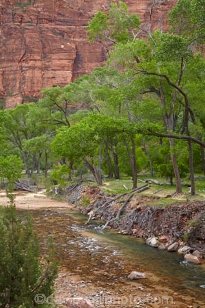 America;American-Southwest;national-parks;river;rivers;South-west-United-States;South-west-US;South-west-USA;South-western-United-States;South-western-US;South-western-USA;Southwest-United-States;Southwest-US;Southwest-USA;Southwestern-United-States;Southwestern-US;Southwestern-USA;States;the-Southwest;U.S.A;United-States;United-States-of-America;USA;UT;Utah;Virgin-River;Zion;Zion-Canyon;Zion-N.P.;Zion-National-Park;Zion-NP
