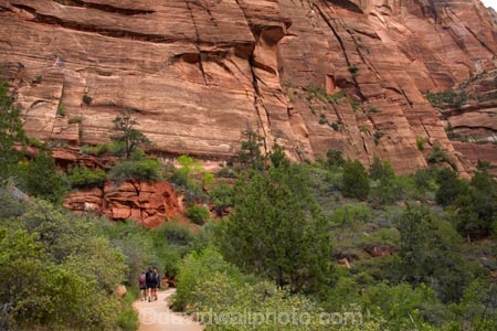 America;American-Southwest;Angels-Landing;Angels-Landing-track;Angels-Landing-trail;Angel’s-Landing;Angel’s-Landing-track;Angel’s-Landing-trail;bluff;bluffs;canyon;canyons;cliff;cliffs;hiker;hikers;hiking-path;hiking-paths;hiking-track;hiking-tracks;hiking-trail;hiking-trails;national-parks;path;paths;pathway;pathways;people;person;route;routes;South-west-United-States;South-west-US;South-west-USA;South-western-United-States;South-western-US;South-western-USA;Southwest-United-States;Southwest-US;Southwest-USA;Southwestern-United-States;Southwestern-US;Southwestern-USA;States;the-Southwest;tourism;tourist;tourists;track;tracks;trail;trails;tramping-track;tramping-tracks;tramping-trail;tramping-trails;U.S.A;United-States;United-States-of-America;USA;UT;Utah;walker;walkers;walking-path;walking-paths;walking-track;walking-tracks;walking-trail;walking-trails;walkway;walkways;West-Rim-Track;West-Rim-Trail;Zion;Zion-Canyon;Zion-N.P.;Zion-National-Park;Zion-NP
