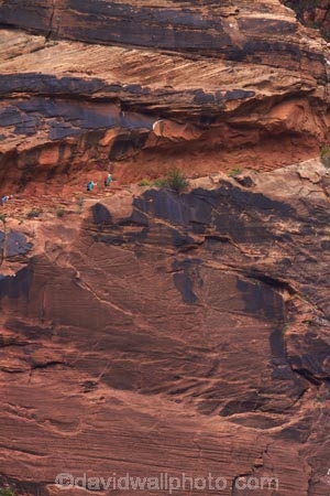 America;American-Southwest;Angels-Landing;Angels-Landing-track;Angels-Landing-trail;Angel’s-Landing;Angel’s-Landing-track;Angel’s-Landing-trail;bluff;bluffs;canyon;canyons;cliff;cliffs;hiker;hikers;hiking-path;hiking-paths;hiking-track;hiking-tracks;hiking-trail;hiking-trails;national-parks;path;paths;pathway;pathways;people;person;route;routes;South-west-United-States;South-west-US;South-west-USA;South-western-United-States;South-western-US;South-western-USA;Southwest-United-States;Southwest-US;Southwest-USA;Southwestern-United-States;Southwestern-US;Southwestern-USA;States;the-Southwest;tourism;tourist;tourists;track;tracks;trail;trails;tramping-track;tramping-tracks;tramping-trail;tramping-trails;U.S.A;United-States;United-States-of-America;USA;UT;Utah;walker;walkers;walking-path;walking-paths;walking-track;walking-tracks;walking-trail;walking-trails;walkway;walkways;West-Rim-Track;West-Rim-Trail;Zion;Zion-Canyon;Zion-N.P.;Zion-National-Park;Zion-NP