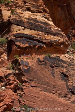 America;American-Southwest;Angels-Landing;Angels-Landing-track;Angels-Landing-trail;Angelâ€™s-Landing;Angelâ€™s-Landing-track;Angelâ€™s-Landing-trail;bluff;bluffs;canyon;canyons;cliff;cliffs;hiker;hikers;hiking-path;hiking-paths;hiking-track;hiking-tracks;hiking-trail;hiking-trails;national-parks;path;paths;pathway;pathways;people;person;route;routes;South-west-United-States;South-west-US;South-west-USA;South-western-United-States;South-western-US;South-western-USA;Southwest-United-States;Southwest-US;Southwest-USA;Southwestern-United-States;Southwestern-US;Southwestern-USA;States;the-Southwest;tourism;tourist;tourists;track;tracks;trail;trails;tramping-track;tramping-tracks;tramping-trail;tramping-trails;U.S.A;United-States;United-States-of-America;USA;UT;Utah;walker;walkers;walking-path;walking-paths;walking-track;walking-tracks;walking-trail;walking-trails;walkway;walkways;West-Rim-Track;West-Rim-Trail;Zion;Zion-Canyon;Zion-N.P.;Zion-National-Park;Zion-NP