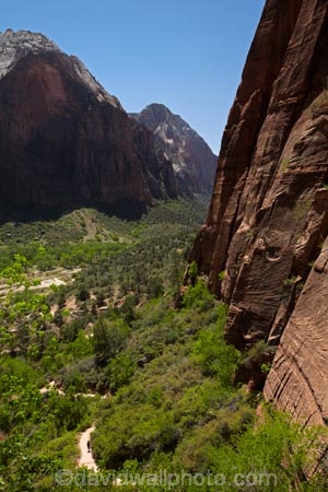 America;American-Southwest;Angels-Landing;Angels-Landing-track;Angels-Landing-trail;Angelâ€™s-Landing;Angelâ€™s-Landing-track;Angelâ€™s-Landing-trail;bluff;bluffs;canyon;canyons;cliff;cliffs;hiker;hikers;hiking-path;hiking-paths;hiking-track;hiking-tracks;hiking-trail;hiking-trails;national-parks;path;paths;pathway;pathways;people;person;route;routes;South-west-United-States;South-west-US;South-west-USA;South-western-United-States;South-western-US;South-western-USA;Southwest-United-States;Southwest-US;Southwest-USA;Southwestern-United-States;Southwestern-US;Southwestern-USA;States;the-Southwest;tourism;tourist;tourists;track;tracks;trail;trails;tramping-track;tramping-tracks;tramping-trail;tramping-trails;U.S.A;United-States;United-States-of-America;USA;UT;Utah;walker;walkers;walking-path;walking-paths;walking-track;walking-tracks;walking-trail;walking-trails;walkway;walkways;West-Rim-Track;West-Rim-Trail;Zion;Zion-Canyon;Zion-N.P.;Zion-National-Park;Zion-NP
