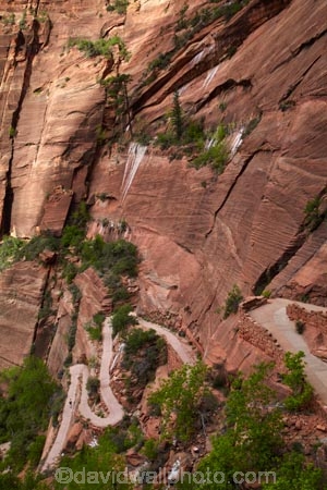 America;American-Southwest;Angels-Landing;Angels-Landing-track;Angels-Landing-trail;Angel’s-Landing;Angel’s-Landing-track;Angel’s-Landing-trail;bluff;bluffs;cliff;cliffs;hairpin-bend;hairpin-bends;hairpin-corner;hairpin-corners;hiker;hikers;hiking-path;hiking-paths;hiking-track;hiking-tracks;hiking-trail;hiking-trails;national-park;national-parks;path;paths;pathway;pathways;people;person;route;routes;South-west-United-States;South-west-US;South-west-USA;South-western-United-States;South-western-US;South-western-USA;Southwest-United-States;Southwest-US;Southwest-USA;Southwestern-United-States;Southwestern-US;Southwestern-USA;States;steep;switchback;switchback-track;switchback-tracks;switchbacks;the-Southwest;tourism;tourist;tourists;track;tracks;trail;trails;tramping-track;tramping-tracks;tramping-trail;tramping-trails;U.S.A;United-States;United-States-of-America;USA;UT;Utah;walker;walkers;walking-path;walking-paths;walking-track;walking-tracks;walking-trail;walking-trails;walkway;walkways;West-Rim-Track;West-Rim-Trail;zig-zag;zig-zag-trail;zig-zag-trails;zig-zags;zig_zag-path;zig_zag-paths;zig_zags;Zigzag-track;zigzag-tracks;zigzags;Zion;Zion-Canyon;Zion-N.P.;Zion-National-Park;Zion-NP