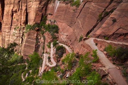 America;American-Southwest;Angels-Landing;Angels-Landing-track;Angels-Landing-trail;Angel’s-Landing;Angel’s-Landing-track;Angel’s-Landing-trail;bluff;bluffs;cliff;cliffs;hairpin-bend;hairpin-bends;hairpin-corner;hairpin-corners;hiking-path;hiking-paths;hiking-track;hiking-tracks;hiking-trail;hiking-trails;national-park;national-parks;path;paths;pathway;pathways;route;routes;South-west-United-States;South-west-US;South-west-USA;South-western-United-States;South-western-US;South-western-USA;Southwest-United-States;Southwest-US;Southwest-USA;Southwestern-United-States;Southwestern-US;Southwestern-USA;States;steep;switchback;switchback-track;switchback-tracks;switchbacks;the-Southwest;track;tracks;trail;trails;tramping-track;tramping-tracks;tramping-trail;tramping-trails;U.S.A;United-States;United-States-of-America;USA;UT;Utah;walker;walkers;walking-path;walking-paths;walking-track;walking-tracks;walking-trail;walking-trails;walkway;walkways;West-Rim-Track;West-Rim-Trail;zig-zag;zig-zag-trail;zig-zag-trails;zig-zags;zig_zag-path;zig_zag-paths;zig_zags;zigzag-track;zigzag-tracks;zigzags;Zion;Zion-Canyon;Zion-N.P.;Zion-National-Park;Zion-NP