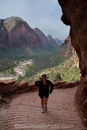 America;American-Southwest;Angels-Landing;Angels-Landing-track;Angels-Landing-trail;Angel’s-Landing;Angel’s-Landing-track;Angel’s-Landing-trail;bluff;bluffs;cliff;cliffs;hairpin-bend;hairpin-bends;hairpin-corner;hairpin-corners;hiker;hikers;hiking-path;hiking-paths;hiking-track;hiking-tracks;hiking-trail;hiking-trails;national-park;national-parks;path;paths;pathway;pathways;people;person;route;routes;South-west-United-States;South-west-US;South-west-USA;South-western-United-States;South-western-US;South-western-USA;Southwest-United-States;Southwest-US;Southwest-USA;Southwestern-United-States;Southwestern-US;Southwestern-USA;States;steep;switchback;switchback-track;switchback-tracks;switchbacks;the-Southwest;tourism;tourist;tourists;track;tracks;trail;trails;tramping-track;tramping-tracks;tramping-trail;tramping-trails;U.S.A;United-States;United-States-of-America;USA;UT;Utah;walker;walkers;walking-path;walking-paths;walking-track;walking-tracks;walking-trail;walking-trails;walkway;walkways;West-Rim-Track;West-Rim-Trail;zig-zag;zig-zag-trail;zig-zag-trails;zig-zags;zig_zag-path;zig_zag-paths;zig_zags;Zigzag-track;zigzag-tracks;zigzags;Zion;Zion-Canyon;Zion-N.P.;Zion-National-Park;Zion-NP
