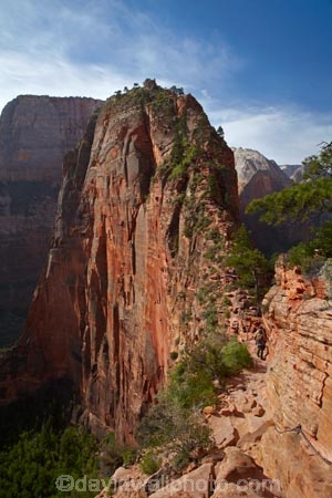 adventure;adventurous;America;American-Southwest;Angels-Landing;Angels-Landing-track;Angels-Landing-trail;Angel’s-Landing;Angel’s-Landing-track;Angel’s-Landing-trail;bluff;bluffs;cliff;cliffs;danger;dangerous;dangerous-hike;dangerous-track;Great-White-Throne;hiker;hikers;hiking-path;hiking-paths;hiking-track;hiking-tracks;hiking-trail;hiking-trails;lookout;lookouts;national-parks;overlook;path;paths;pathway;pathways;people;person;route;routes;Scout-Lookout;Scouts-Lookout;South-west-United-States;South-west-US;South-west-USA;South-western-United-States;South-western-US;South-western-USA;Southwest-United-States;Southwest-US;Southwest-USA;Southwestern-United-States;Southwestern-US;Southwestern-USA;States;the-Southwest;tourism;tourist;tourists;track;tracks;trail;trails;tramping-track;tramping-tracks;tramping-trail;tramping-trails;U.S.A;United-States;United-States-of-America;USA;UT;Utah;view;viewpoint;viewpoints;views;walker;walkers;walking-path;walking-paths;walking-track;walking-tracks;walking-trail;walking-trails;walkway;walkways;Zion;Zion-Canyon;Zion-N.P.;Zion-National-Park;Zion-NP