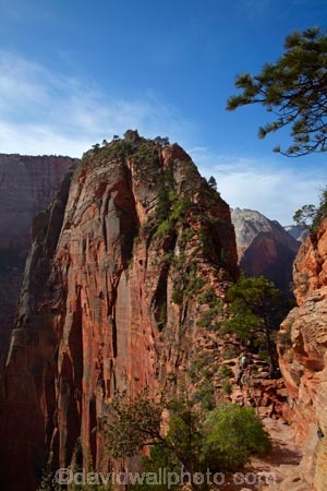 adventure;adventurous;America;American-Southwest;Angels-Landing;Angels-Landing-track;Angels-Landing-trail;Angel’s-Landing;Angel’s-Landing-track;Angel’s-Landing-trail;bluff;bluffs;cliff;cliffs;danger;dangerous;dangerous-hike;dangerous-track;hiker;hikers;hiking-path;hiking-paths;hiking-track;hiking-tracks;hiking-trail;hiking-trails;lookout;lookouts;national-parks;overlook;path;paths;pathway;pathways;people;person;route;routes;Scouts-Lookout;South-west-United-States;South-west-US;South-west-USA;South-western-United-States;South-western-US;South-western-USA;Southwest-United-States;Southwest-US;Southwest-USA;Southwestern-United-States;Southwestern-US;Southwestern-USA;States;the-Southwest;tourism;tourist;tourists;track;tracks;trail;trails;tramping-track;tramping-tracks;tramping-trail;tramping-trails;U.S.A;United-States;United-States-of-America;USA;UT;Utah;view;viewpoint;viewpoints;views;walker;walkers;walking-path;walking-paths;walking-track;walking-tracks;walking-trail;walking-trails;walkway;walkways;Zion;Zion-Canyon;Zion-N.P.;Zion-National-Park;Zion-NP