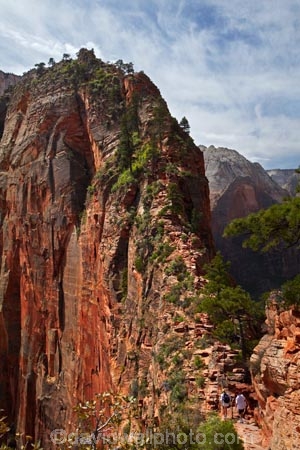 adventure;adventurous;America;American-Southwest;Angels-Landing;Angels-Landing-track;Angels-Landing-trail;Angelâ€™s-Landing;Angelâ€™s-Landing-track;Angelâ€™s-Landing-trail;bluff;bluffs;cliff;cliffs;danger;dangerous;dangerous-hike;dangerous-track;hiker;hikers;hiking-path;hiking-paths;hiking-track;hiking-tracks;hiking-trail;hiking-trails;lookout;lookouts;national-parks;overlook;path;paths;pathway;pathways;people;person;route;routes;Scout-Lookout;South-west-United-States;South-west-US;South-west-USA;South-western-United-States;South-western-US;South-western-USA;Southwest-United-States;Southwest-US;Southwest-USA;Southwestern-United-States;Southwestern-US;Southwestern-USA;States;the-Southwest;tourism;tourist;tourists;track;tracks;trail;trails;tramping-track;tramping-tracks;tramping-trail;tramping-trails;U.S.A;United-States;United-States-of-America;USA;UT;Utah;view;viewpoint;viewpoints;views;walker;walkers;walking-path;walking-paths;walking-track;walking-tracks;walking-trail;walking-trails;walkway;walkways;Zion;Zion-Canyon;Zion-N.P.;Zion-National-Park;Zion-NP