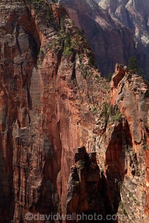adventure;adventurous;America;American-Southwest;Angels-Landing;Angels-Landing-track;Angels-Landing-trail;Angel’s-Landing;Angel’s-Landing-track;Angel’s-Landing-trail;bluff;bluffs;cliff;cliffs;danger;dangerous;dangerous-hike;dangerous-track;hiking-path;hiking-paths;hiking-track;hiking-tracks;hiking-trail;hiking-trails;lookout;lookouts;national-parks;overlook;path;paths;pathway;pathways;route;routes;South-west-United-States;South-west-US;South-west-USA;South-western-United-States;South-western-US;South-western-USA;Southwest-United-States;Southwest-US;Southwest-USA;Southwestern-United-States;Southwestern-US;Southwestern-USA;States;steep;the-Southwest;track;tracks;trail;trails;tramping-track;tramping-tracks;tramping-trail;tramping-trails;U.S.A;United-States;United-States-of-America;USA;UT;Utah;view;viewpoint;viewpoints;views;walking-path;walking-paths;walking-track;walking-tracks;walking-trail;walking-trails;walkway;walkways;Zion;Zion-Canyon;Zion-N.P.;Zion-National-Park;Zion-NP