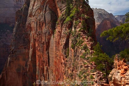 adventure;adventurous;America;American-Southwest;Angels-Landing;Angels-Landing-track;Angels-Landing-trail;Angel’s-Landing;Angel’s-Landing-track;Angel’s-Landing-trail;bluff;bluffs;cliff;cliffs;danger;dangerous;dangerous-hike;dangerous-track;hiker;hikers;hiking-path;hiking-paths;hiking-track;hiking-tracks;hiking-trail;hiking-trails;lookout;lookouts;national-parks;overlook;path;paths;pathway;pathways;people;person;route;routes;Scout-Lookout;South-west-United-States;South-west-US;South-west-USA;South-western-United-States;South-western-US;South-western-USA;Southwest-United-States;Southwest-US;Southwest-USA;Southwestern-United-States;Southwestern-US;Southwestern-USA;States;the-Southwest;tourism;tourist;tourists;track;tracks;trail;trails;tramping-track;tramping-tracks;tramping-trail;tramping-trails;U.S.A;United-States;United-States-of-America;USA;UT;Utah;view;viewpoint;viewpoints;views;walker;walkers;walking-path;walking-paths;walking-track;walking-tracks;walking-trail;walking-trails;walkway;walkways;Zion;Zion-Canyon;Zion-N.P.;Zion-National-Park;Zion-NP