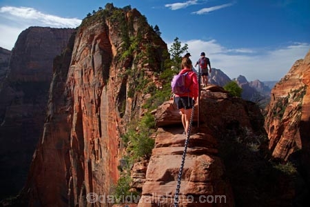 America;American-Southwest;Angels-Landing-track;Angels-Landing-trail;Angel’s-Landing-track;Angel’s-Landing-trail;national-parks;South-west-United-States;South-west-US;South-west-USA;South-western-United-States;South-western-US;South-western-USA;Southwest-United-States;Southwest-US;Southwest-USA;Southwestern-United-States;Southwestern-US;Southwestern-USA;States;the-Southwest;U.S.A;United-States;United-States-of-America;USA;UT;Utah;Zion;Zion-N.P.;Zion-National-Park;Zion-NP