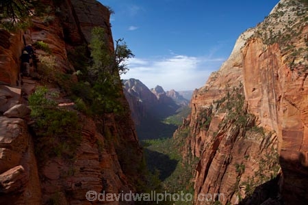 adventure;adventurous;America;American-Southwest;Angels-Landing;Angels-Landing-track;Angels-Landing-trail;Angel’s-Landing;Angel’s-Landing-track;Angel’s-Landing-trail;bluff;bluffs;cliff;cliffs;danger;dangerous;dangerous-hike;dangerous-track;hiker;hikers;hiking-path;hiking-paths;hiking-track;hiking-tracks;hiking-trail;hiking-trails;lookout;lookouts;national-parks;overlook;path;paths;pathway;pathways;people;person;route;routes;South-west-United-States;South-west-US;South-west-USA;South-western-United-States;South-western-US;South-western-USA;Southwest-United-States;Southwest-US;Southwest-USA;Southwestern-United-States;Southwestern-US;Southwestern-USA;States;the-Southwest;tourism;tourist;tourists;track;tracks;trail;trails;tramping-track;tramping-tracks;tramping-trail;tramping-trails;U.S.A;United-States;United-States-of-America;USA;UT;Utah;view;viewpoint;viewpoints;views;walker;walkers;walking-path;walking-paths;walking-track;walking-tracks;walking-trail;walking-trails;walkway;walkways;Zion;Zion-Canyon;Zion-N.P.;Zion-National-Park;Zion-NP