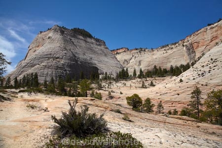 America;American-Southwest;bluff;bluffs;Cathedral-Mountain;cliff;cliffs;geological;geology;hiking-path;hiking-paths;hiking-track;hiking-tracks;hiking-trail;hiking-trails;national-parks;natural-geological-formation;natural-geological-formations;path;paths;pathway;pathways;rock;rock-formation;rock-formations;rocks;route;routes;Sandstone;slickrock;South-west-United-States;South-west-US;South-west-USA;South-western-United-States;South-western-US;South-western-USA;Southwest-United-States;Southwest-US;Southwest-USA;Southwestern-United-States;Southwestern-US;Southwestern-USA;States;stone;the-Southwest;track;tracks;trail;trails;tramping-track;tramping-tracks;tramping-trail;tramping-trails;U.S.A;United-States;United-States-of-America;unusual-natural-feature;unusual-natural-features;unusual-natural-formation;unusual-natural-formations;USA;UT;Utah;walking-path;walking-paths;walking-track;walking-tracks;walking-trail;walking-trails;walkway;walkways;West-Rim-Track;West-Rim-Trail;wilderness;wilderness-area;wilderness-areas;Zion;Zion-N.P.;Zion-National-Park;Zion-NP