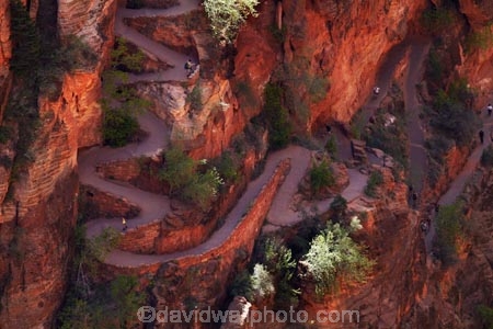 America;American-Southwest;Angels-Landing;Angels-Landing-track;Angels-Landing-trail;Angelâ€™s-Landing;Angelâ€™s-Landing-track;Angelâ€™s-Landing-trail;bluff;bluffs;cliff;cliffs;hairpin-bend;hairpin-bends;hairpin-corner;hairpin-corners;hiker;hikers;hiking-path;hiking-paths;hiking-track;hiking-tracks;hiking-trail;hiking-trails;national-park;national-parks;path;paths;pathway;pathways;people;person;Refrigerator-Canyon;route;routes;South-west-United-States;South-west-US;South-west-USA;South-western-United-States;South-western-US;South-western-USA;Southwest-United-States;Southwest-US;Southwest-USA;Southwestern-United-States;Southwestern-US;Southwestern-USA;States;steep;switchback;switchback-track;switchback-tracks;switchbacks;the-Southwest;tourism;tourist;tourists;track;tracks;trail;trails;tramping-track;tramping-tracks;tramping-trail;tramping-trails;U.S.A;United-States;United-States-of-America;USA;UT;Utah;walker;walkers;walking-path;walking-paths;walking-track;walking-tracks;walking-trail;walking-trails;walkway;walkways;Walters-Wiggles;Walters-Wiggles-zigzag;Walters-Wiggles;Walters-Wiggles-zigzag;Walterâ€™s-Wiggles;West-Rim-Track;West-Rim-Trail;zig-zag;zig-zag-trail;zig-zag-trails;zig-zags;zig_zag-path;zig_zag-paths;zig_zags;zigzag-track;zigzag-tracks;zigzags;Zion;Zion-N.P.;Zion-National-Park;Zion-NP