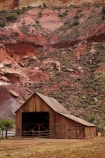 America;American-Southwest;building;buildings;Capitol-Reef-National-Park;farm;Farm-Building;Farm-Buildings;Farm-Shed;Farm-Sheds;farming;farms;Fruita;Gifford-Homestead-Barn;heritage;historic;historic-barns;historic-building;historic-buildings;historic-wooden-barn;historical;historical-building;historical-buildings;history;national-park;national-parks;old;rural;South-west-United-States;South-west-US;South-west-USA;South-western-United-States;South-western-US;South-western-USA;Southwest-United-States;Southwest-US;Southwest-USA;Southwestern-United-States;Southwestern-US;Southwestern-USA;States;the-Southwest;tradition;traditional;U.S.A;United-States;United-States-of-America;USA;UT;Utah;Wayne-County;wooden-barn;wooden-barns
