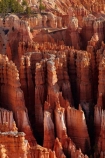 America;American-Southwest;badland;badlands;Bryce-Amphitheater;Bryce-Amphitheatre;Bryce-Canyon;Bryce-Canyon-N.P.;Bryce-Canyon-National-Park;Bryce-Canyon-NP;clay;column;columns;earth-pyramid;earth-pyramids;eroded;erosion;fairy-chimney;fairy-chimneys;formation;formations;geological;geology;hiking-path;hiking-paths;hiking-track;hiking-tracks;hiking-trail;hiking-trails;hoodoo;hoodoos;Inspiration-Point;layer;layers;lookout;lookouts;national-park;national-parks;natural-geological-formation;natural-geological-formations;natural-tower;natural-towers;Navaho-Loop;Navaho-Trail;North-America;overlook;path;paths;pathway;pathways;Paunsaugunt-Plateau;pillar;pillars;pinnacle;pinnacles;rock;rock-chimney;rock-chimneys;rock-column;rock-columns;rock-formation;rock-formations;rock-pillar;rock-pillars;rock-pinnacle;rock-pinnacles;rock-spire;rock-spires;rock-tower;rock-towers;rocks;route;routes;Sandstone;South-west-United-States;South-west-US;South-west-USA;South-western-United-States;South-western-US;South-western-USA;Southwest-United-States;Southwest-US;Southwest-USA;Southwestern-United-States;Southwestern-US;Southwestern-USA;States;stone;Sunset-Point;tent-rock;tent-rocks;the-Southwest;track;tracks;trail;trails;tramping-track;tramping-tracks;tramping-trail;tramping-trails;U.S.A;United-States;United-States-of-America;unusual-natural-feature;unusual-natural-features;unusual-natural-formation;unusual-natural-formations;USA;UT;Utah;view;viewpoint;viewpoints;views;walking-path;walking-paths;walking-track;walking-tracks;walking-trail;walking-trails;walkway;walkways;weathered;weathering;wilderness;wilderness-area;wilderness-areas