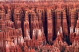 America;American-Southwest;badland;badlands;Bryce-Amphitheater;Bryce-Amphitheatre;Bryce-Canyon;Bryce-Canyon-N.P.;Bryce-Canyon-National-Park;Bryce-Canyon-NP;clay;column;columns;earth-pyramid;earth-pyramids;eroded;erosion;fairy-chimney;fairy-chimneys;formation;formations;geological;geology;hoodoo;hoodoos;layer;layers;lookout;lookouts;national-park;national-parks;natural-geological-formation;natural-geological-formations;natural-tower;natural-towers;North-America;overlook;Paunsaugunt-Plateau;pillar;pillars;pinnacle;pinnacles;rock;rock-chimney;rock-chimneys;rock-column;rock-columns;rock-formation;rock-formations;rock-pillar;rock-pillars;rock-pinnacle;rock-pinnacles;rock-spire;rock-spires;rock-tower;rock-towers;rocks;Sandstone;South-west-United-States;South-west-US;South-west-USA;South-western-United-States;South-western-US;South-western-USA;Southwest-United-States;Southwest-US;Southwest-USA;Southwestern-United-States;Southwestern-US;Southwestern-USA;States;stone;tent-rock;tent-rocks;the-Southwest;U.S.A;United-States;United-States-of-America;unusual-natural-feature;unusual-natural-features;unusual-natural-formation;unusual-natural-formations;USA;UT;Utah;view;viewpoint;viewpoints;views;weathered;weathering;wilderness;wilderness-area;wilderness-areas