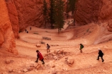 America;American-Southwest;bluff;bluffs;Bryce-Amphitheater;Bryce-Amphitheatre;Bryce-Canyon;Bryce-Canyon-N.P.;Bryce-Canyon-National-Park;Bryce-Canyon-NP;canyon;canyons;cliff;cliffs;hairpin-bend;hairpin-bends;hairpin-corner;hairpin-corners;hiker;hikers;hiking-path;hiking-paths;hiking-track;hiking-tracks;hiking-trail;hiking-trails;national-park;national-parks;Navajo-Loop;Navajo-Loop-path;Navajo-Loop-track;Navajo-Loop-trail;Navajo-Loop-walk;Navajo-path;Navajo-track;Navajo-trail;Navajo-walk;path;paths;pathway;pathways;Paunsaugunt-Plateau;people;person;route;routes;South-west-United-States;South-west-US;South-west-USA;South-western-United-States;South-western-US;South-western-USA;Southwest-United-States;Southwest-US;Southwest-USA;Southwestern-United-States;Southwestern-US;Southwestern-USA;States;steep;switchback;switchback-track;switchback-tracks;switchbacks;the-Southwest;tourism;tourist;tourists;track;tracks;trail;trails;tramping-track;tramping-tracks;tramping-trail;tramping-trails;U.S.A;United-States;United-States-of-America;USA;UT;Utah;walker;walkers;walking-path;walking-paths;walking-track;walking-tracks;walking-trail;walking-trails;walkway;walkways;zig-zag;zig-zag-trail;zig-zag-trails;zig-zags;zig_zag;zig_zag-path;zig_zags;zigzag;zigzag-track;zigzags