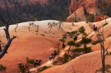 America;American-Southwest;badland;badlands;Bryce-Amphitheater;Bryce-Amphitheatre;Bryce-Canyon;Bryce-Canyon-N.P.;Bryce-Canyon-National-Park;Bryce-Canyon-NP;Bryce-Canyon-Rides;Bryce-National-Park-Horseback-Tours;Canyon-Trail-Rides;clay;cowboy;cowboys;equestrian;eroded;erosion;formation;formations;geology;hiking-path;hiking-paths;hiking-track;hiking-tracks;hiking-trail;hiking-trails;horse;horse-rider;horse-riders;horse-riding;horse-tour;horse-tours;horse-trail;horse-trails;horse-trek;horse-trekker;horse-trekkers;horse-trekking;horse-treks;horseback-tours;horses;layer;layers;national-park;national-parks;North-America;path;paths;pathway;pathways;Paunsaugunt-Plateau;people;person;Queens-Garden-Path;Queens-Garden-Trackl;Queens-Garden-Trail;Queens-Garden-walk;Queens-Garden-Path;Queens-Garden-Track;Queens-Garden-Trail;Queens-Garden-walk;route;routes;South-west-United-States;South-west-US;South-west-USA;South-western-United-States;South-western-US;South-western-USA;Southwest-United-States;Southwest-US;Southwest-USA;Southwestern-United-States;Southwestern-US;Southwestern-USA;States;the-Southwest;track;tracks;trail;trails;tramping-track;tramping-tracks;tramping-trail;tramping-trails;U.S.A;United-States;United-States-of-America;USA;UT;Utah;walking-path;walking-paths;walking-track;walking-tracks;walking-trail;walking-trails;walkway;walkways;weathered;weathering