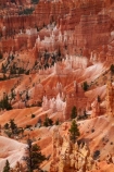 America;American-Southwest;badland;badlands;Bryce-Amphitheater;Bryce-Amphitheatre;Bryce-Canyon;Bryce-Canyon-N.P.;Bryce-Canyon-National-Park;Bryce-Canyon-NP;clay;column;columns;earth-pyramid;earth-pyramids;eroded;erosion;fairy-chimney;fairy-chimneys;formation;formations;geological;geology;hoodoo;hoodoos;layer;layers;lookout;lookouts;national-park;national-parks;natural-geological-formation;natural-geological-formations;natural-tower;natural-towers;North-America;overlook;Paunsaugunt-Plateau;pillar;pillars;pinnacle;pinnacles;rock;rock-chimney;rock-chimneys;rock-column;rock-columns;rock-formation;rock-formations;rock-pillar;rock-pillars;rock-pinnacle;rock-pinnacles;rock-spire;rock-spires;rock-tower;rock-towers;rocks;Sandstone;South-west-United-States;South-west-US;South-west-USA;South-western-United-States;South-western-US;South-western-USA;Southwest-United-States;Southwest-US;Southwest-USA;Southwestern-United-States;Southwestern-US;Southwestern-USA;States;stone;tent-rock;tent-rocks;the-Southwest;U.S.A;United-States;United-States-of-America;unusual-natural-feature;unusual-natural-features;unusual-natural-formation;unusual-natural-formations;USA;UT;Utah;view;viewpoint;viewpoints;views;weathered;weathering;wilderness;wilderness-area;wilderness-areas