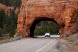 All-American-Road;All-American-Roads;All_American-Road;All_American-Roads;America;American-Southwest;arch-tunnel;arch-tunnels;Byway-12;Dixie-National-Forest;driving;highway;highways;National-Scenic-Byway;open-road;open-roads;Red-Canyon;Red-Canyon-tunnel;Red-Canyon-tunnels;Red-Rocks-Western-Tunnel;road;road-trip;road-tunnel;road-tunnels;roads;rock;rock-formation;rock-formations;rock-outcrop;rock-outcrops;rocks;Scenic-Byway-12;South-west-United-States;South-west-US;South-west-USA;South-western-United-States;South-western-US;South-western-USA;Southwest-United-States;Southwest-US;Southwest-USA;Southwestern-United-States;Southwestern-US;Southwestern-USA;SR_12;State-Route-12;States;stone;the-Southwest;transport;transportation;travel;traveling;travelling;trip;tunnel;tunnels;U.S.-National-Monument;U.S.-National-Monuments;U.S.A;United-States;United-States-of-America;USA;UT;Utah;Utah-12;vehicle;vehicles