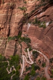 America;American-Southwest;Angels-Landing;Angels-Landing-track;Angels-Landing-trail;Angel’s-Landing;Angel’s-Landing-track;Angel’s-Landing-trail;bluff;bluffs;cliff;cliffs;hairpin-bend;hairpin-bends;hairpin-corner;hairpin-corners;hiking-path;hiking-paths;hiking-track;hiking-tracks;hiking-trail;hiking-trails;national-park;national-parks;path;paths;pathway;pathways;route;routes;South-west-United-States;South-west-US;South-west-USA;South-western-United-States;South-western-US;South-western-USA;Southwest-United-States;Southwest-US;Southwest-USA;Southwestern-United-States;Southwestern-US;Southwestern-USA;States;steep;switchback;switchback-track;switchback-tracks;switchbacks;the-Southwest;track;tracks;trail;trails;tramping-track;tramping-tracks;tramping-trail;tramping-trails;U.S.A;United-States;United-States-of-America;USA;UT;Utah;walker;walkers;walking-path;walking-paths;walking-track;walking-tracks;walking-trail;walking-trails;walkway;walkways;West-Rim-Track;West-Rim-Trail;zig-zag;zig-zag-trail;zig-zag-trails;zig-zags;zig_zag-path;zig_zag-paths;zig_zags;zigzag-track;zigzag-tracks;zigzags;Zion;Zion-Canyon;Zion-N.P.;Zion-National-Park;Zion-NP