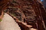 America;American-Southwest;Angels-Landing;Angels-Landing-track;Angels-Landing-trail;Angel’s-Landing;Angel’s-Landing-track;Angel’s-Landing-trail;bluff;bluffs;cliff;cliffs;hairpin-bend;hairpin-bends;hairpin-corner;hairpin-corners;hiker;hikers;hiking-path;hiking-paths;hiking-track;hiking-tracks;hiking-trail;hiking-trails;national-park;national-parks;path;paths;pathway;pathways;people;person;route;routes;South-west-United-States;South-west-US;South-west-USA;South-western-United-States;South-western-US;South-western-USA;Southwest-United-States;Southwest-US;Southwest-USA;Southwestern-United-States;Southwestern-US;Southwestern-USA;States;steep;switchback;switchback-track;switchback-tracks;switchbacks;the-Southwest;tourism;tourist;tourists;track;tracks;trail;trails;tramping-track;tramping-tracks;tramping-trail;tramping-trails;U.S.A;United-States;United-States-of-America;USA;UT;Utah;walker;walkers;walking-path;walking-paths;walking-track;walking-tracks;walking-trail;walking-trails;walkway;walkways;West-Rim-Track;West-Rim-Trail;zig-zag;zig-zag-trail;zig-zag-trails;zig-zags;zig_zag-path;zig_zag-paths;zig_zags;Zigzag-track;zigzag-tracks;zigzags;Zion;Zion-Canyon;Zion-N.P.;Zion-National-Park;Zion-NP