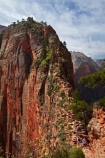 adventure;adventurous;America;American-Southwest;Angels-Landing;Angels-Landing-track;Angels-Landing-trail;Angel’s-Landing;Angel’s-Landing-track;Angel’s-Landing-trail;bluff;bluffs;cliff;cliffs;danger;dangerous;dangerous-hike;dangerous-track;hiker;hikers;hiking-path;hiking-paths;hiking-track;hiking-tracks;hiking-trail;hiking-trails;lookout;lookouts;national-parks;overlook;path;paths;pathway;pathways;people;person;route;routes;Scout-Lookout;South-west-United-States;South-west-US;South-west-USA;South-western-United-States;South-western-US;South-western-USA;Southwest-United-States;Southwest-US;Southwest-USA;Southwestern-United-States;Southwestern-US;Southwestern-USA;States;the-Southwest;tourism;tourist;tourists;track;tracks;trail;trails;tramping-track;tramping-tracks;tramping-trail;tramping-trails;U.S.A;United-States;United-States-of-America;USA;UT;Utah;view;viewpoint;viewpoints;views;walker;walkers;walking-path;walking-paths;walking-track;walking-tracks;walking-trail;walking-trails;walkway;walkways;Zion;Zion-Canyon;Zion-N.P.;Zion-National-Park;Zion-NP