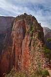 adventure;adventurous;America;American-Southwest;Angels-Landing;Angels-Landing-track;Angels-Landing-trail;Angel’s-Landing;Angel’s-Landing-track;Angel’s-Landing-trail;bluff;bluffs;cliff;cliffs;danger;dangerous;dangerous-hike;dangerous-track;hiker;hikers;hiking-path;hiking-paths;hiking-track;hiking-tracks;hiking-trail;hiking-trails;lookout;lookouts;national-parks;overlook;path;paths;pathway;pathways;people;person;route;routes;Scout-Lookout;South-west-United-States;South-west-US;South-west-USA;South-western-United-States;South-western-US;South-western-USA;Southwest-United-States;Southwest-US;Southwest-USA;Southwestern-United-States;Southwestern-US;Southwestern-USA;States;the-Southwest;tourism;tourist;tourists;track;tracks;trail;trails;tramping-track;tramping-tracks;tramping-trail;tramping-trails;U.S.A;United-States;United-States-of-America;USA;UT;Utah;view;viewpoint;viewpoints;views;walker;walkers;walking-path;walking-paths;walking-track;walking-tracks;walking-trail;walking-trails;walkway;walkways;Zion;Zion-Canyon;Zion-N.P.;Zion-National-Park;Zion-NP