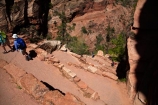 America;American-Southwest;Angels-Landing;Angels-Landing-track;Angels-Landing-trail;Angel’s-Landing;Angel’s-Landing-track;Angel’s-Landing-trail;bluff;bluffs;cliff;cliffs;hairpin-bend;hairpin-bends;hairpin-corner;hairpin-corners;hiking-path;hiking-paths;hiking-track;hiking-tracks;hiking-trail;hiking-trails;national-park;national-parks;path;paths;pathway;pathways;Refrigerator-Canyon;route;routes;South-west-United-States;South-west-US;South-west-USA;South-western-United-States;South-western-US;South-western-USA;Southwest-United-States;Southwest-US;Southwest-USA;Southwestern-United-States;Southwestern-US;Southwestern-USA;States;steep;switchback;switchback-track;switchback-tracks;switchbacks;the-Southwest;track;tracks;trail;trails;tramping-track;tramping-tracks;tramping-trail;tramping-trails;U.S.A;United-States;United-States-of-America;USA;UT;Utah;walker;walkers;walking-path;walking-paths;walking-track;walking-tracks;walking-trail;walking-trails;walkway;walkways;Walters-Wiggles;Walters-Wiggles-zigzag;Walters-Wiggles;Walters-Wiggles-zigzag;West-Rim-Track;West-Rim-Trail;zig-zag;zig-zag-trail;zig-zag-trails;zig-zags;zig_zag-path;zig_zag-paths;zig_zags;zigzag-track;zigzag-tracks;zigzags;Zion;Zion-N.P.;Zion-National-Park;Zion-NP