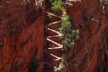 America;American-Southwest;Angels-Landing;Angels-Landing-track;Angels-Landing-trail;Angel’s-Landing;Angel’s-Landing-track;Angel’s-Landing-trail;bluff;bluffs;cliff;cliffs;hairpin-bend;hairpin-bends;hairpin-corner;hairpin-corners;hiker;hikers;hiking-path;hiking-paths;hiking-track;hiking-tracks;hiking-trail;hiking-trails;national-park;national-parks;path;paths;pathway;pathways;people;person;Refrigerator-Canyon;route;routes;South-west-United-States;South-west-US;South-west-USA;South-western-United-States;South-western-US;South-western-USA;Southwest-United-States;Southwest-US;Southwest-USA;Southwestern-United-States;Southwestern-US;Southwestern-USA;States;steep;switchback;switchback-track;switchback-tracks;switchbacks;the-Southwest;tourism;tourist;tourists;track;tracks;trail;trails;tramping-track;tramping-tracks;tramping-trail;tramping-trails;U.S.A;United-States;United-States-of-America;USA;UT;Utah;walker;walkers;walking-path;walking-paths;walking-track;walking-tracks;walking-trail;walking-trails;walkway;walkways;Walters-Wiggles;Walters-Wiggles-zigzag;Walters-Wiggles;Walters-Wiggles-zigzag;Walter’s-Wiggles;West-Rim-Track;West-Rim-Trail;zig-zag;zig-zag-trail;zig-zag-trails;zig-zags;zig_zag-path;zig_zag-paths;zig_zags;zigzag-track;zigzag-tracks;zigzags;Zion;Zion-N.P.;Zion-National-Park;Zion-NP