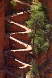 America;American-Southwest;Angels-Landing;Angels-Landing-track;Angels-Landing-trail;Angel’s-Landing;Angel’s-Landing-track;Angel’s-Landing-trail;bluff;bluffs;cliff;cliffs;hairpin-bend;hairpin-bends;hairpin-corner;hairpin-corners;hiker;hikers;hiking-path;hiking-paths;hiking-track;hiking-tracks;hiking-trail;hiking-trails;national-park;national-parks;path;paths;pathway;pathways;people;person;Refrigerator-Canyon;route;routes;South-west-United-States;South-west-US;South-west-USA;South-western-United-States;South-western-US;South-western-USA;Southwest-United-States;Southwest-US;Southwest-USA;Southwestern-United-States;Southwestern-US;Southwestern-USA;States;steep;switchback;switchback-track;switchback-tracks;switchbacks;the-Southwest;tourism;tourist;tourists;track;tracks;trail;trails;tramping-track;tramping-tracks;tramping-trail;tramping-trails;U.S.A;United-States;United-States-of-America;USA;UT;Utah;walker;walkers;walking-path;walking-paths;walking-track;walking-tracks;walking-trail;walking-trails;walkway;walkways;Walters-Wiggles;Walters-Wiggles-zigzag;Walters-Wiggles;Walters-Wiggles-zigzag;West-Rim-Track;West-Rim-Trail;zig-zag;zig-zag-trail;zig-zag-trails;zig-zags;zig_zag-path;zig_zag-paths;zig_zags;zigzag-track;zigzag-tracks;zigzags;Zion;Zion-N.P.;Zion-National-Park;Zion-NP